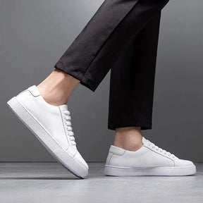 Baskets Hommes Angelo