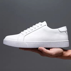 Baskets Hommes Angelo