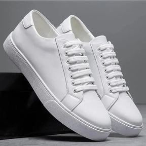 Baskets Hommes Angelo